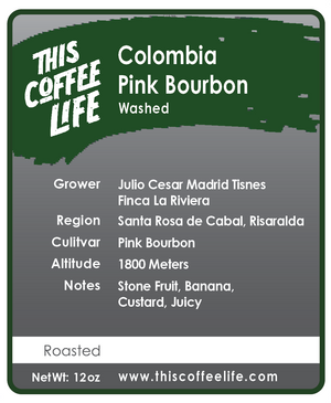 Colombia Finca La RIviera Pink Bourbon Washed