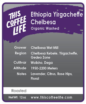 Ethiopia Yirgacheffe Chelbesa G2 Organic Washed