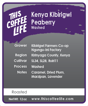 Kenya Kibirigwi Peaberry Washed