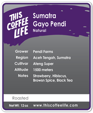 Sumatra Gayo G1 Pendi Natural