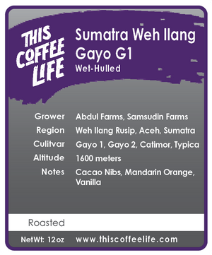 Sumatra Weh Ilang Gayo G1 Wet-Hulled