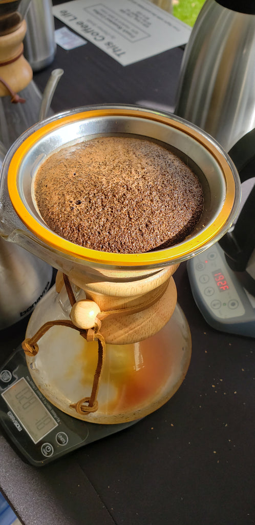 Seasonal light/medium roast Blend Subscription