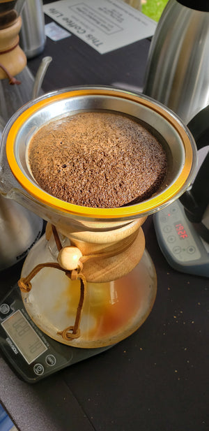 Seasonal light/medium roast Blend Subscription
